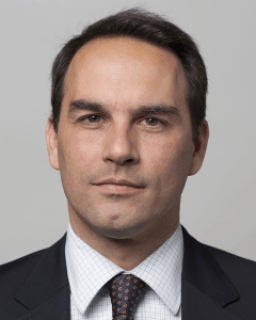 Professor Daniele Caramani
