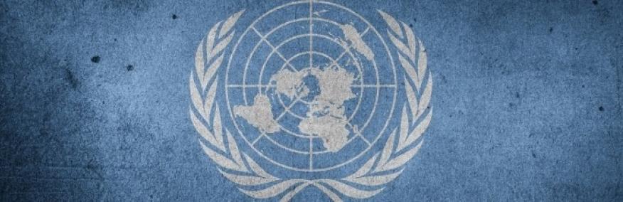 UN Human Rights Agreements - Access the data